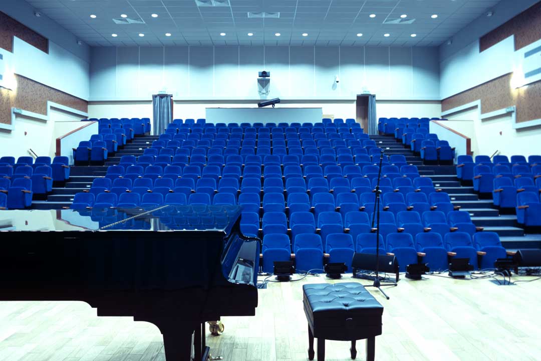 Vidnoe Art School Auditorium